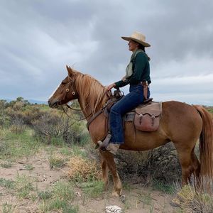 Meet your Posher, Annie